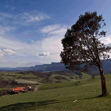 Zelaikoetxe Villa Ozeka Exteriör bild